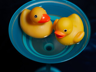 Ducky Photoshoot