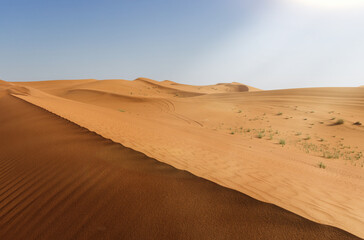 Fototapeta na wymiar Hypnotic patterns of sand desert in the UAE desert, near Dubai, UAE