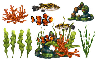 Marine set with colorful tropical fish, red corals, seaweed, stones. Living in a wild world under water. Clown fish, leopard fish. Snorkeling and diving in the ocean. Digital isolated illustration