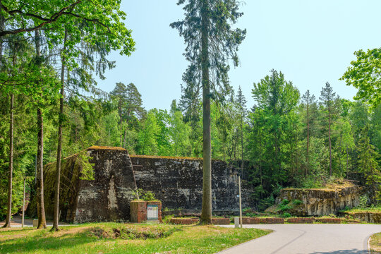 Wilczy Szaniec (niem. Wolfsschanze) &ndash; w latach 1941&ndash;1944 kwatera gł&oacute;wna Adolfa Hitlera i Naczelnego Dow&oacute;dztwa Sił Zbrojnych w Gierłoży.