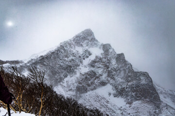 Backcountry powder skiing in Japan