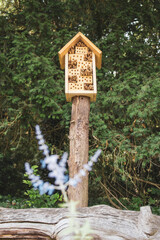bee house in the forest
