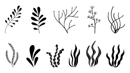 Set of seaweed icons. Marine plants are isolated on white background. Vector illustration © _AsAnia_