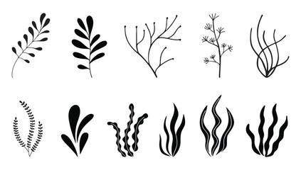 Set of seaweed icons. Marine plants are isolated on white background. Vector illustration - obrazy, fototapety, plakaty
