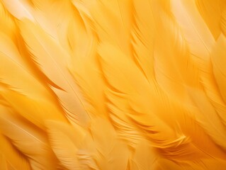 Yellow Feathers Background, Clean soft  Illustration