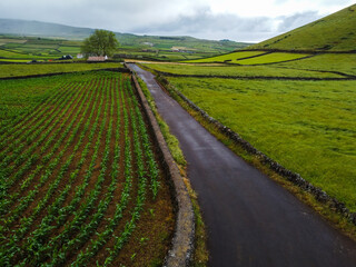 Fototapeta na wymiar Aerial view of rural road crossing vibrant green fields parceled with stone fences. Terceira Island, Azores, Portugal
