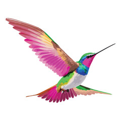 A hummingbird hovering in the air, its wings illuminated against a white backdrop. © Ismail Hossain