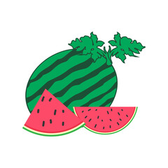 watermelon vector illustration