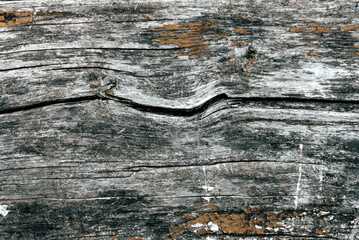 Wood texture close up. Natural wood background with knots