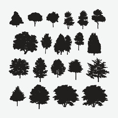 Nature's Elegance Unleashed: A Bountiful Collection of Exquisite Silhouettes - Trees in All Their Majesty and Splendor