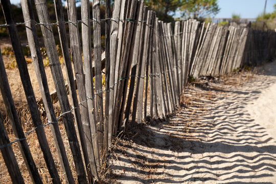 Sand fence to avoid erosion in Calvi Corsica at the mediterranean sea