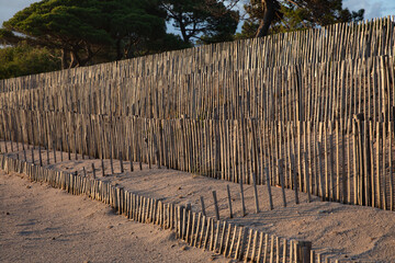 Fototapeta premium Sand fence to avoid erosion in Calvi Corsica at the mediterranean sea