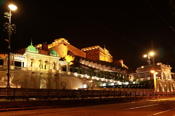 Fototapeta na wymiar Royal Palace or Buda Castle at night in Budapest, Hungary 