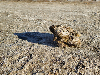 rock in the shape of a toad or frog, with encrustations of salt upon it. warm sunlight, long shadow, sunset, desert