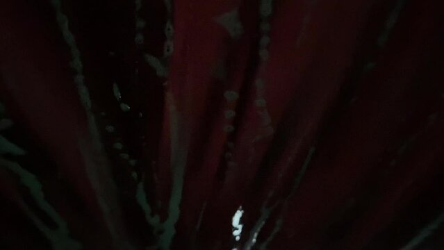 Car Wash Part 2 