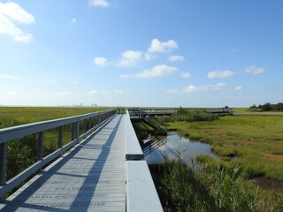 The natural beauty of the Edwin B. Forsythe National Wildlife Refuge with Atlantic City in the distant background.  