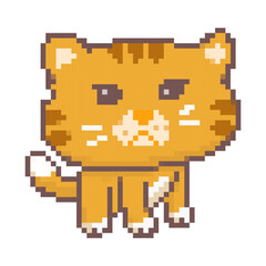 Obraz premium Angry cat pixel art, Cute angry cat, big head pixel art style