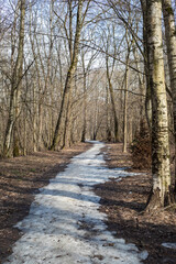 Early spring landscape frozen path  and bare trees in the park