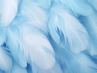 Fototapeta na wymiar Blue Feathers Background, Clean soft Illustration