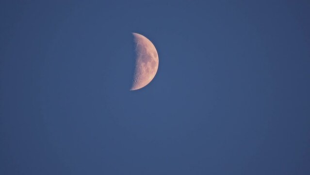 Moon in First Quarter Phase viewing detail of the craters at sunset with blue sky.
