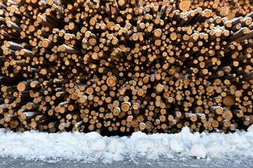 Pile of logged spruce trunks. Sawn trees from the forest. Logging timber wood industry.