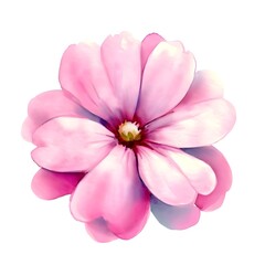 pink rose watercolor drawing isolated on white background Generative AI