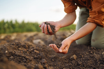 Experienced farmer woman touches the soil with her hands, collects it, checks health and quality of soil before growing seeds, vegetables, plants. Business, agriculture concept.