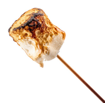 recommend clip art: Roasted Marshmallow On Stick Isolated on Transparent Background
                    