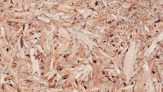 Wood chipboard wooden moving sideways, close-up macro, top view
