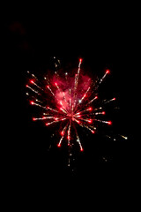 Colorful fireworks in the night sky.