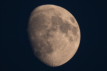 Mond