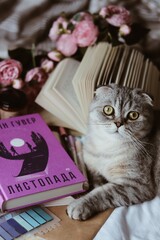 Processed with VSCO with a4 preset