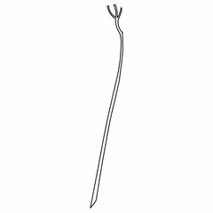 Branch for decoration and design.