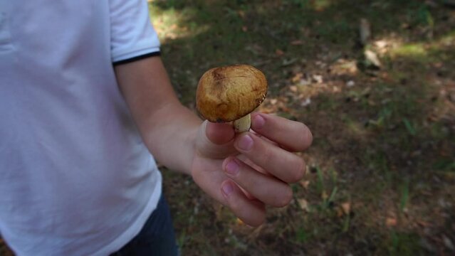 the boy is holding a butter dish mushroom in his hands. Slow motion