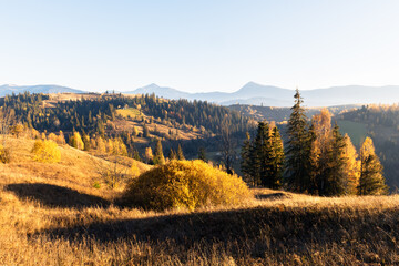 Amazing scene on autumn mountains. Yellow and orange trees in fantastic morning sunlight....