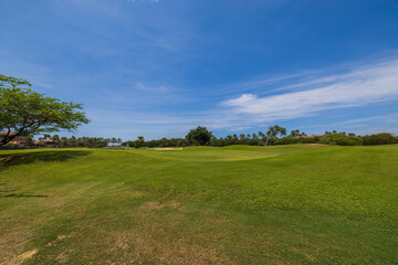 View of green grass golf field on background  blue sky on Aruba island. 