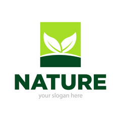 Leaf Nature or Ecology Logo Design Vector