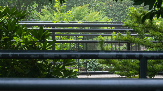 Parallel Hand Railings Standing Ready to Assist in the Cool Green Park