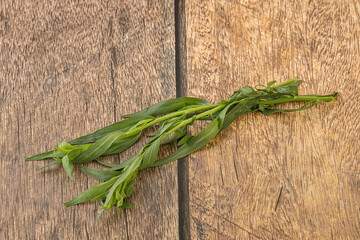 Green tarragon herb spice for cooking
