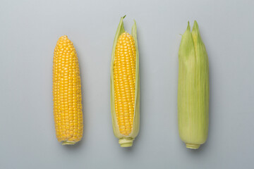 Fresh corn on cobs on color background, top view