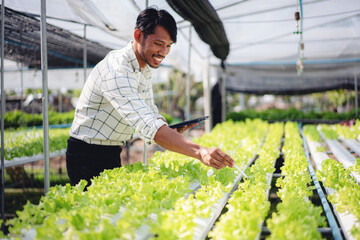 Man smart farmer holding tablet working and checking organic hydroponic vegetable quality in greenhouse plantation to preparing harvest export to sell