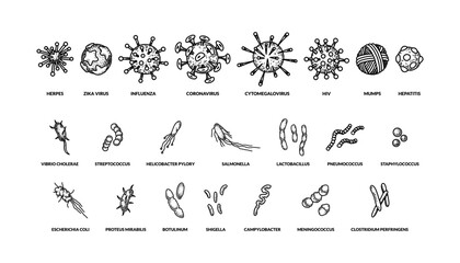 Set of hand drawn different types viruses of bactreias with names. Vector illustration in sketch style. Realistic scientific drawing - obrazy, fototapety, plakaty