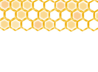 honeycomb illustration isolated on white background