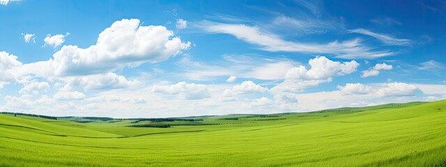 Fototapeta na wymiar Beautiful natural scenic panorama green field of cut grass into and blue sky with clouds on horizon. Perfect green lawn on summer sunny day.