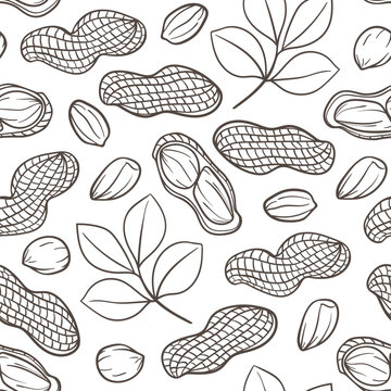 Hand drawn seamless pattern with peanuts.