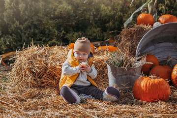 A toddler on a pumpkin farm with a large orange pumpkin, nice sunny family day at a pumpkin patch...