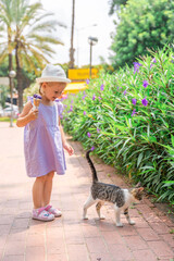 Little girl playing with stray street cat in summer Alanya, Turkey