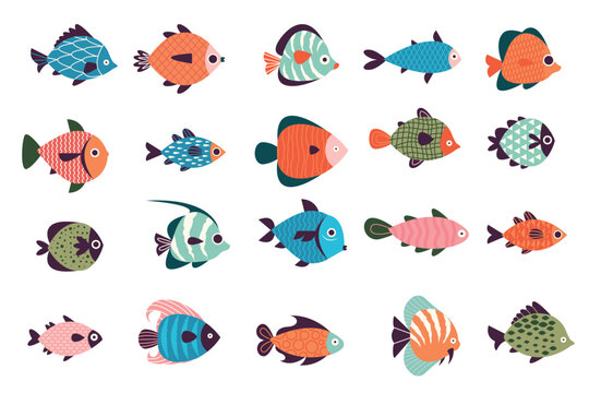Exotic fish collection. Cartoon marine underwater wildlife, colorful ocean life characters, fish zoo decor and wildlife concept. Vector set
