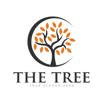 The Tree Nature Logo Design Vector