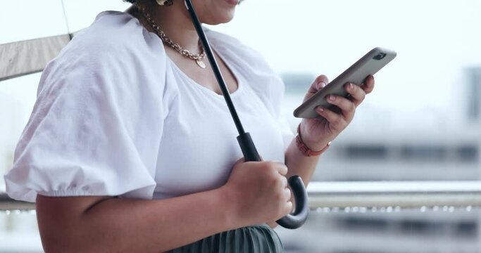 Woman, hands and phone in rain with text and networking outdoor with umbrella protection. Online, person and insurance with mobile check and social media on app with digital communication in a city
